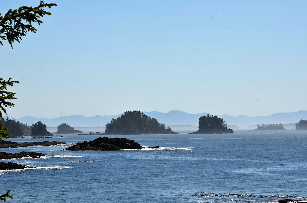 Lighthouse loop, Pacific rim, Ucluelet