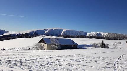 Les Vosges sous la neige, col de la Schlutcht