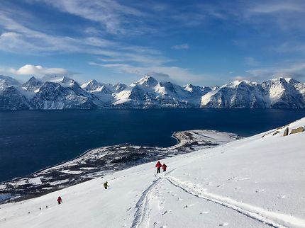 Ski de randonnée dans les Alpes Lyngen