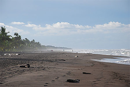 Immense plage de Tortuguero