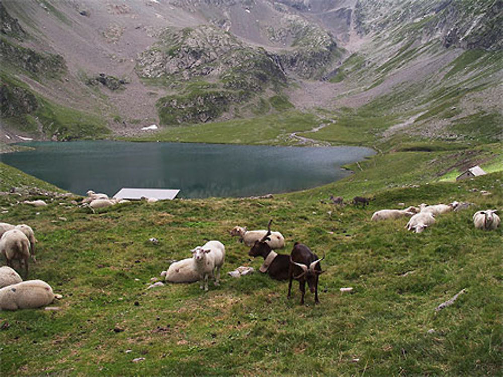 Lac de la muselle