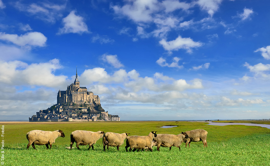 Le Pays De La Baie Du Mont Saint Michel Avec Le Routard Idées Week End Normandie 0259