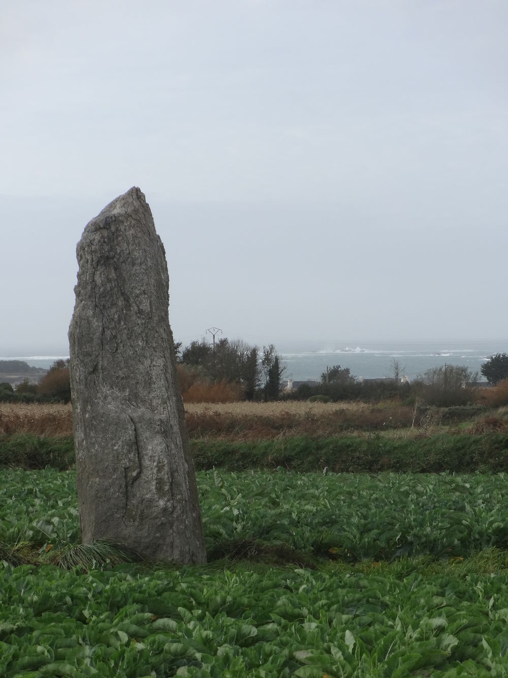 Menhir de Goarivan