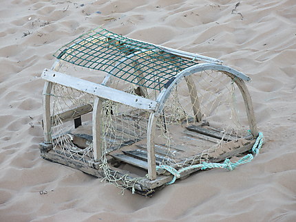 Cage à homard aux Îles de la Madeleine