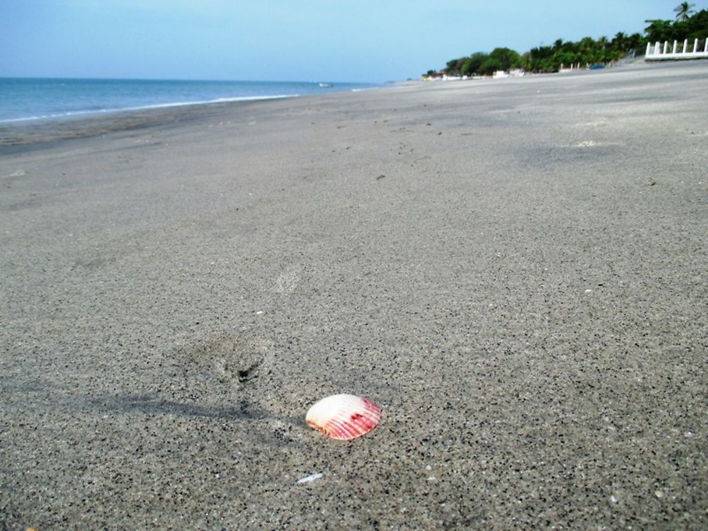 Plage de Playa Blanca