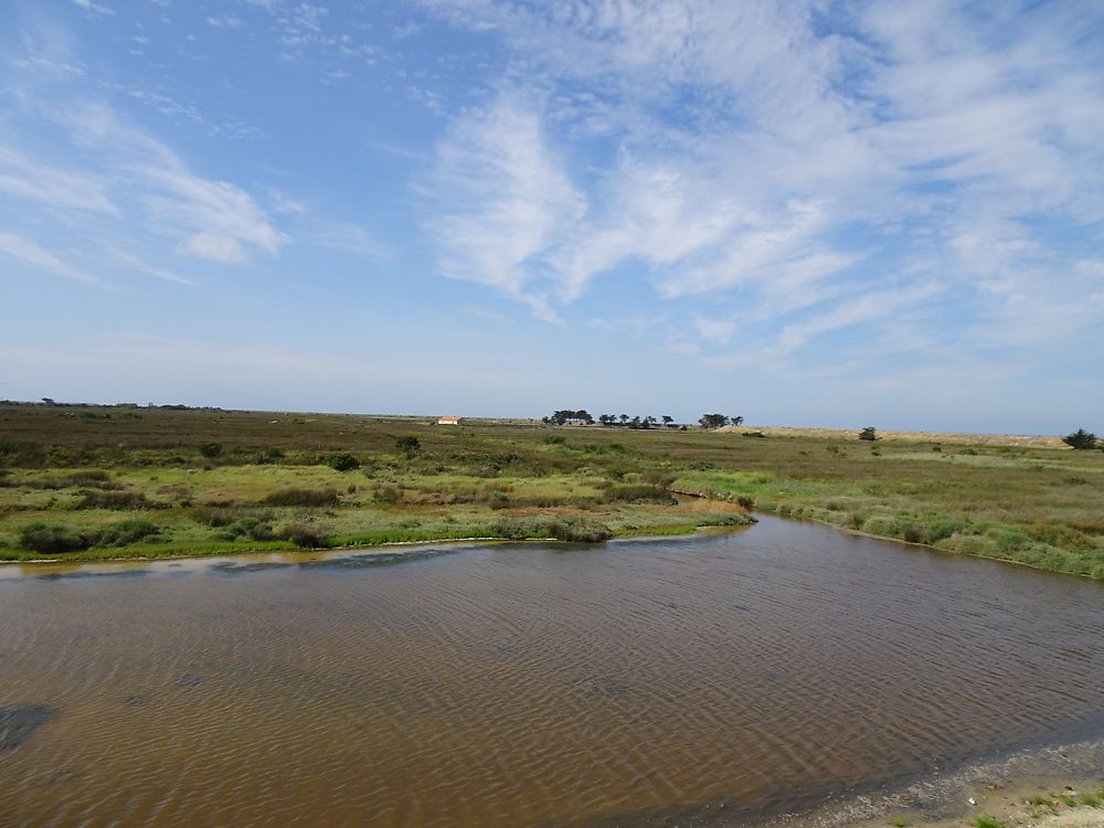 Polder de Sébastopol