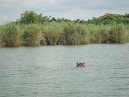 Lac Tanganyika
