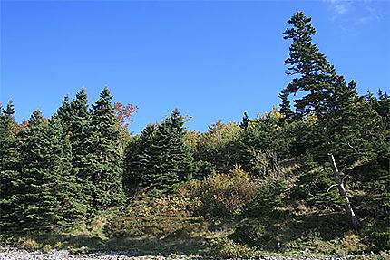 L'Acadia National Park