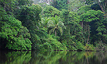 Parc national de Tortuguero