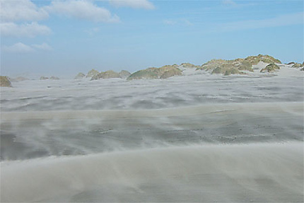 Souffle dans les dunes