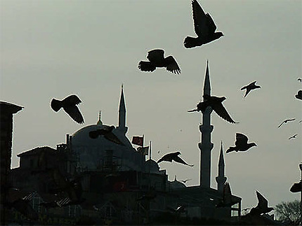Mosquée de Suleymaniye