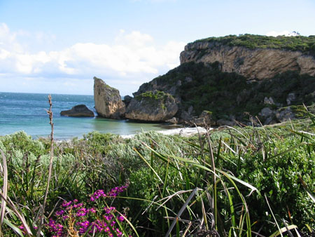 D'entrecasteaux N.P. D'entrecasteaux N.P.