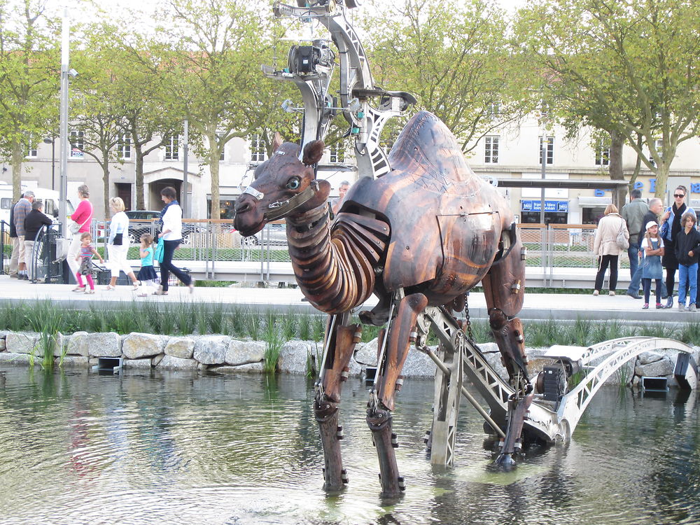 Les animaux de la place Napoléon