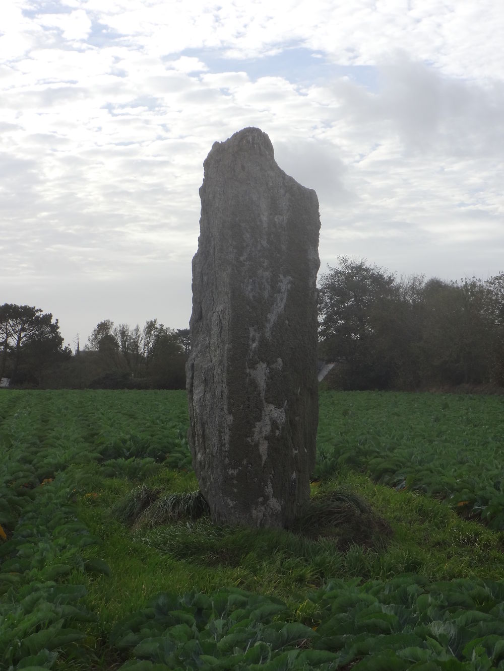 Menhir de Goarivan