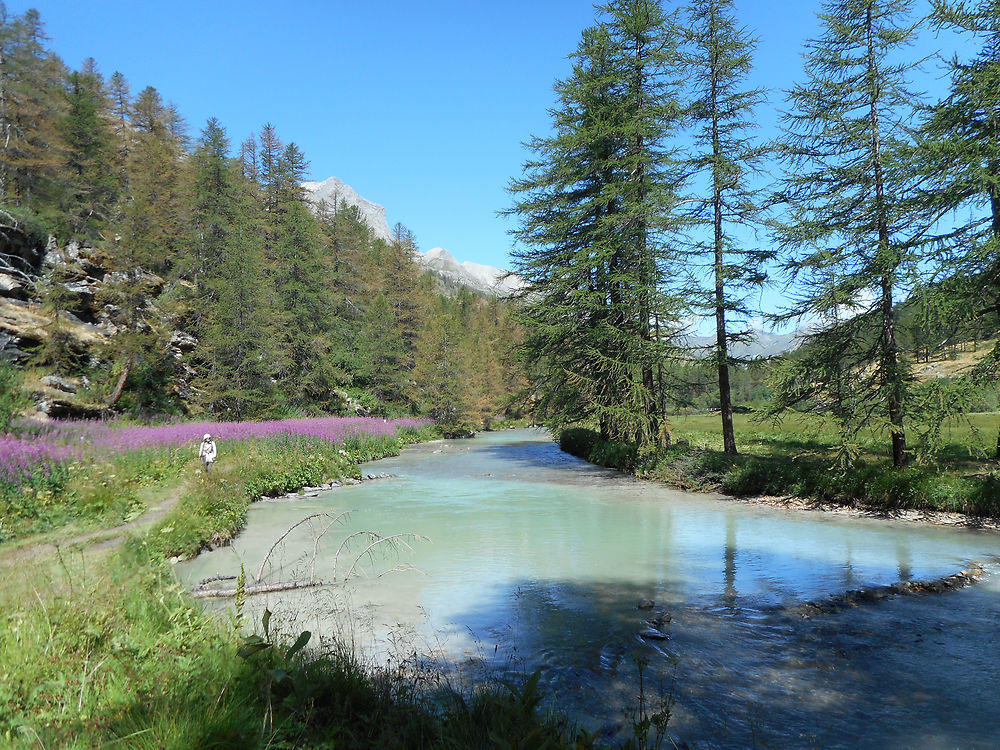 La Clarée