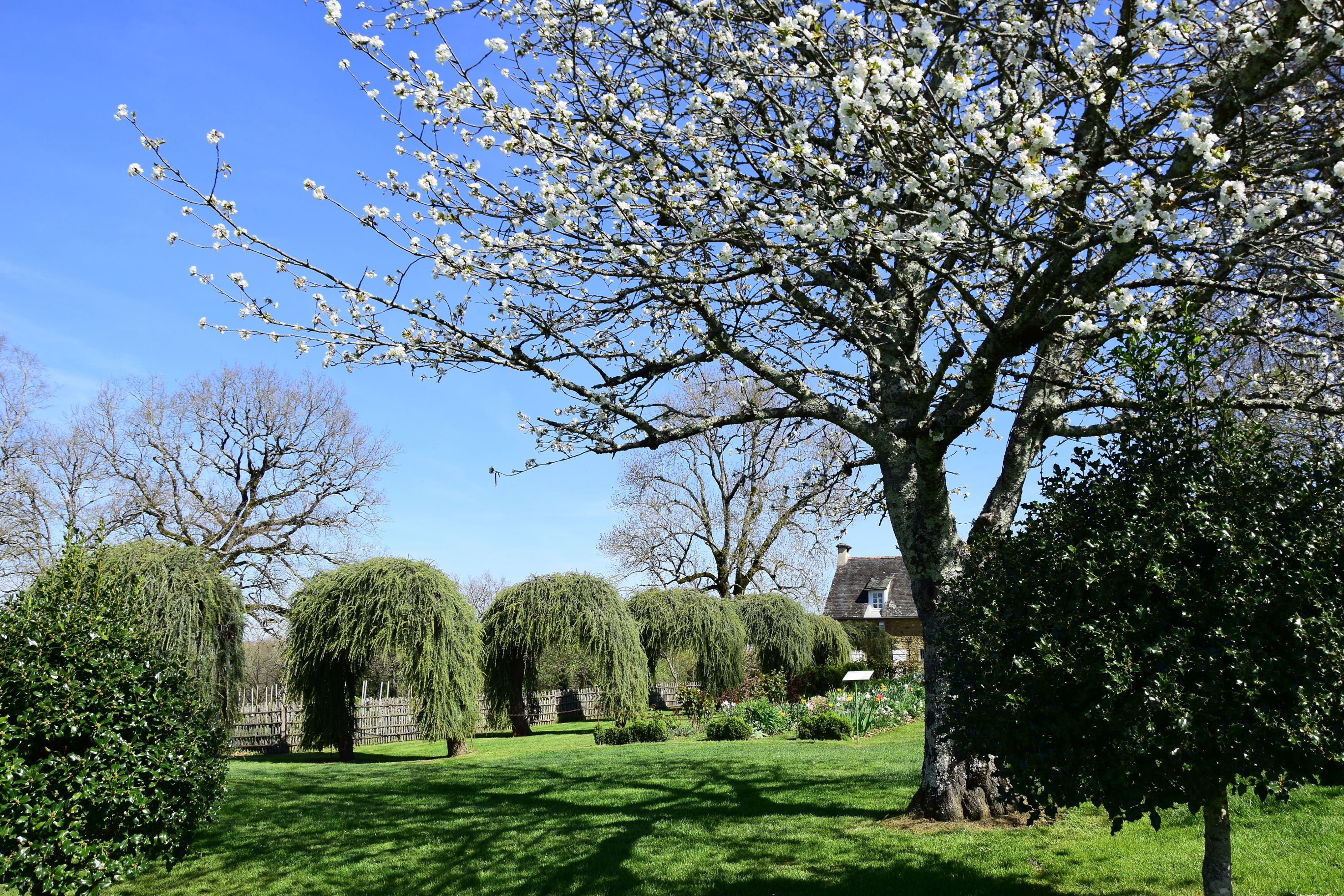 Le printemps dans les jardins d'Eyrignac