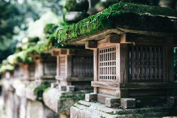 Dans un temple à Nara, Japon