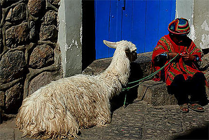 Jeune berger à Cuzco