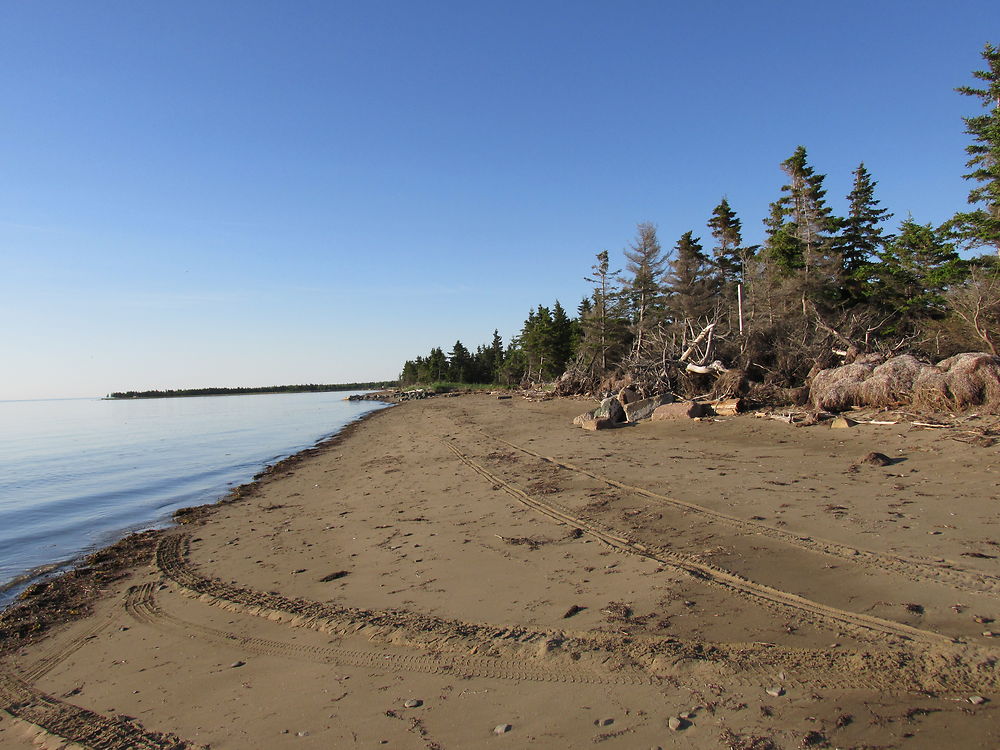 Plage de Miscou 