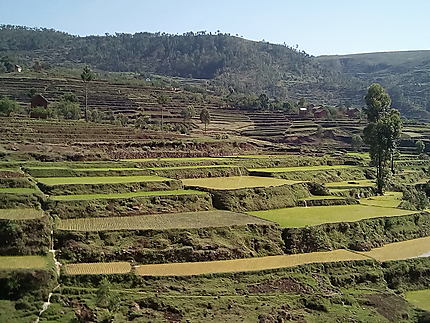 Paysage au nord d'Antsirabe