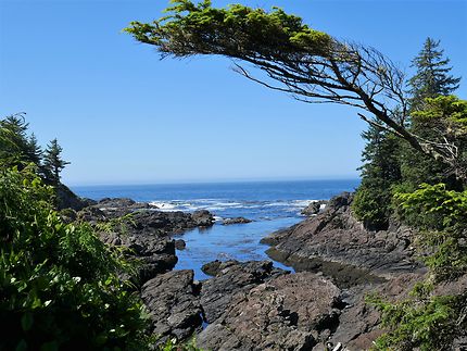 Lighthouse loop, Pacific rim, Ucluelet