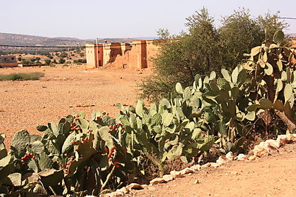Ruines à Tafraoute