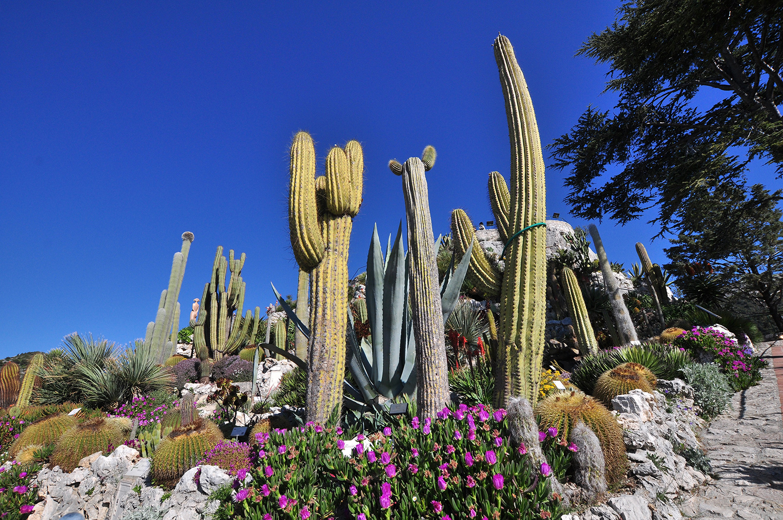 La Côte d’Azur, côté jardins