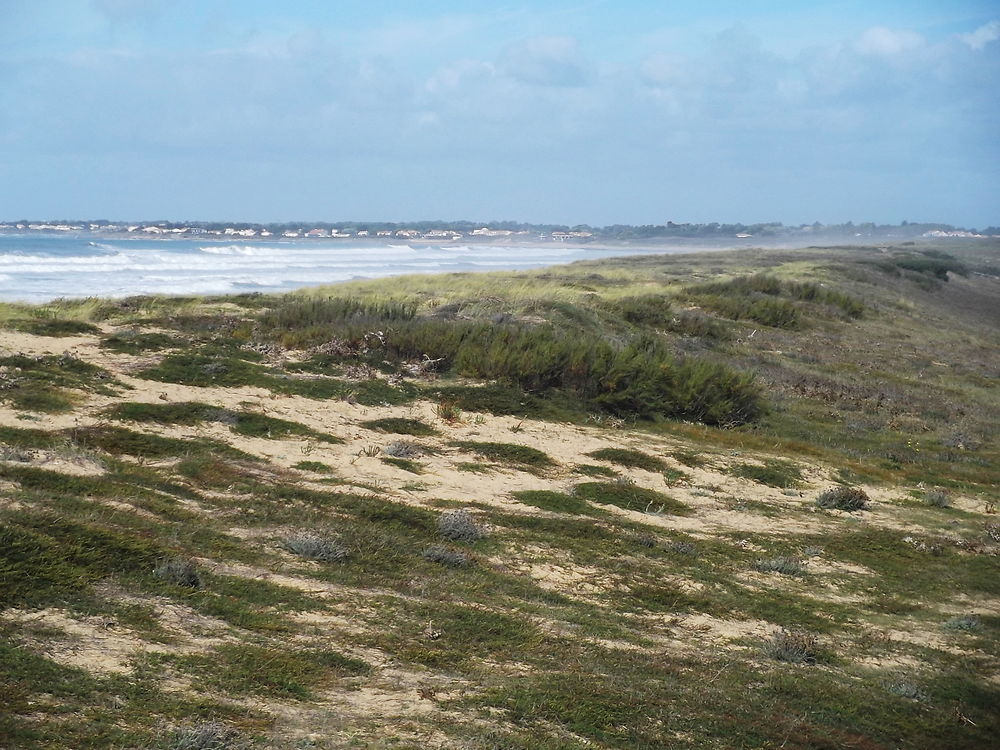 Depuis les dunes