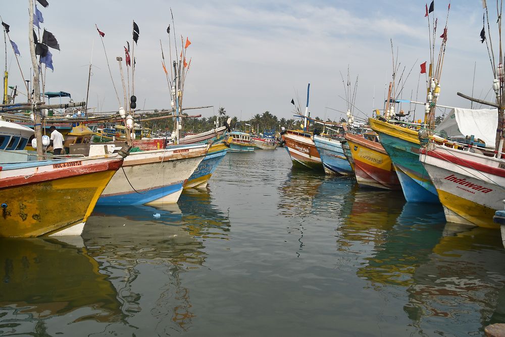 Sur le port de Dondra au Sri Lanka