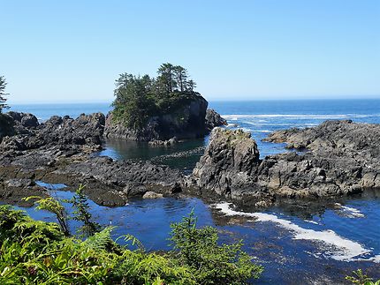 Lighthouse loop, Pacific rim, Ucluelet