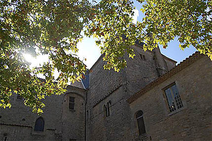 Automne à Carcassonne