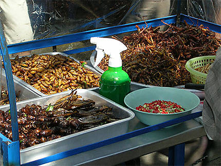 Etal d'insectes sur un marché