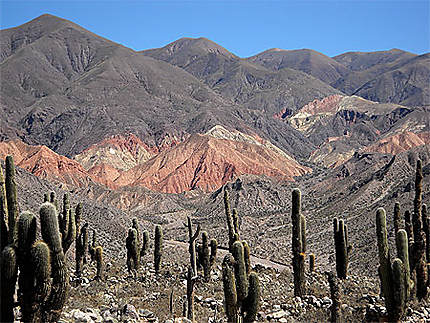 Paysage de la Quebrada de Humahuaca
