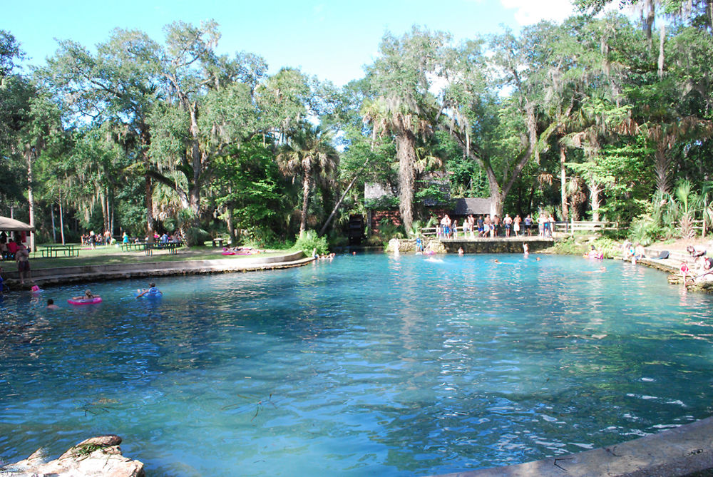 Juniper Springs