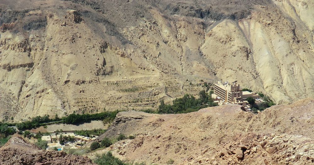 Une oasis au milieu d'un canyon