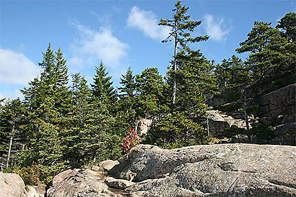 Superbe Acadia National Park