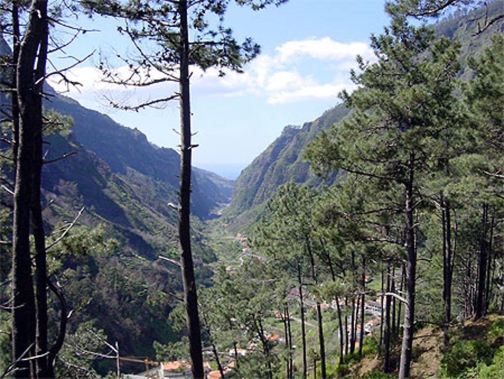 Vallée au centre de l'île de Madère