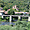 Pont à Veliko Tarnovo
