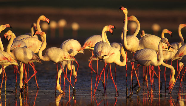 Exp&eacute;riences nature &agrave; vivre en Catalogne : notre s&eacute;lection