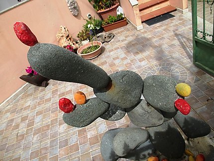 Cactus en pierre