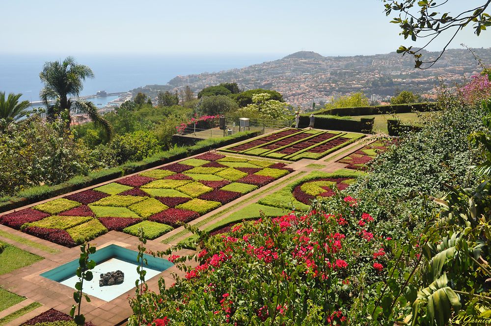 Jardin botanique de Funchal