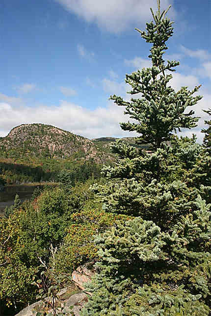 Le beau Acadia National Park