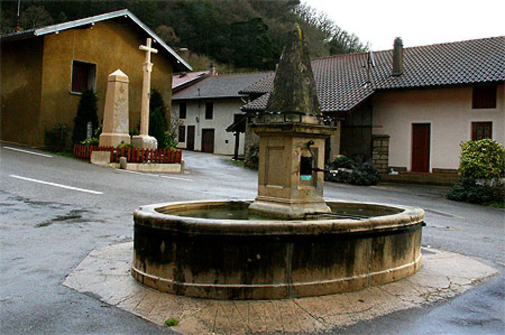 Coisia