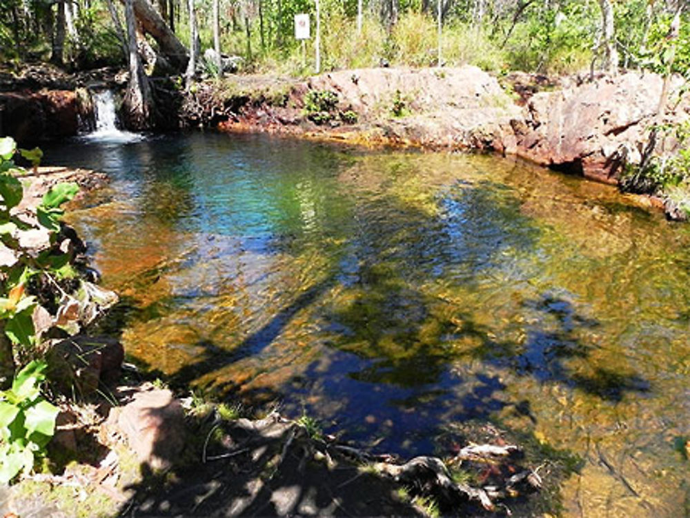 Piscines naturelles