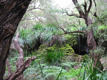 Leeuwin N.P.: Meekadarabee Falls Leeuwin N.P.: Meekadarabee Falls