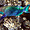 Poisson perroquet