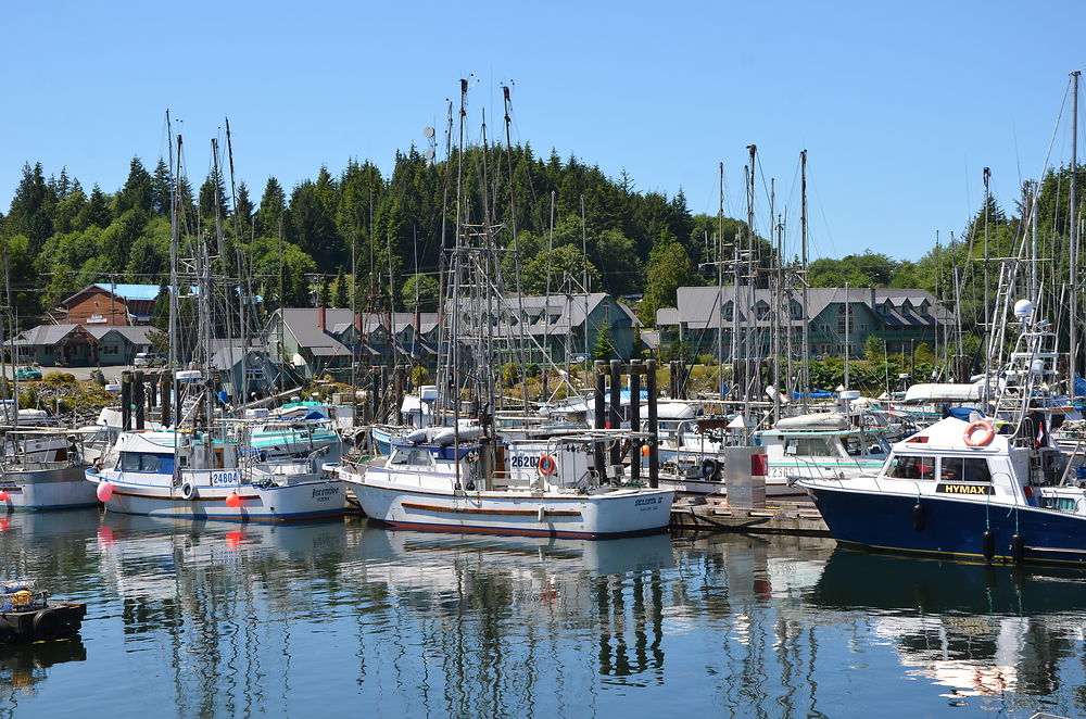 Port d'Ucluelet au Canada