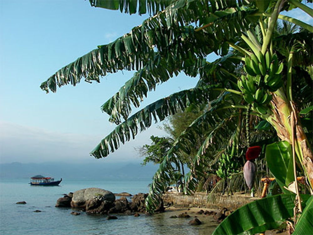 Une île paisible