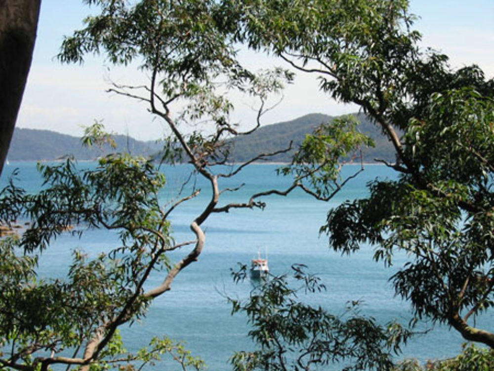 La côte au nord de Sydney