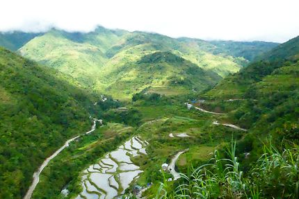 Route longeant les rizières de Banaue